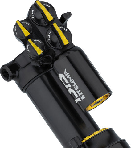 Cane creek double barrel kitsuma air trunnion shock