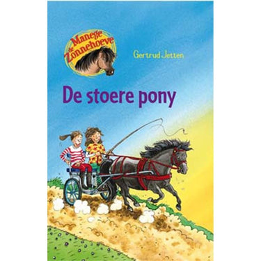 Kluitman manege de zonnehoeve de stoere pony