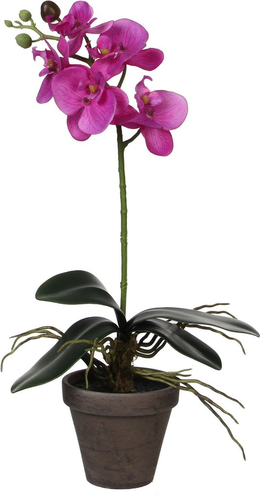 Mica decorations kunstplant - phalaenopsis orchidee - paars - 48 cm - kunstplanten nepplanten met bloemen