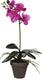 Mica decorations kunstplant - phalaenopsis orchidee - paars - 48 cm - kunstplanten nepplanten met bloemen