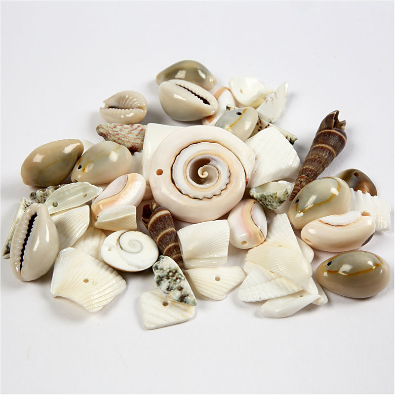 Afbeelding laden in galerijviewer, Https: www.cchobby.nl strand-schelpen-kralen-afm-9-40-mm-gatgrootte-1-1-5-mm-120-gr-1-doos
