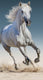 Merkloos sans marque paarden handdoek - 100% katoen - paard strandlaken - 140 x 70 cm.
