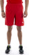 Puma teamrise short heren - maat l
