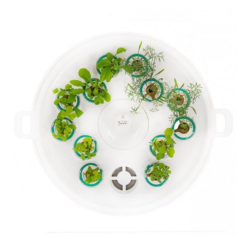 Load image into Gallery viewer, Plantui booster tray wit
