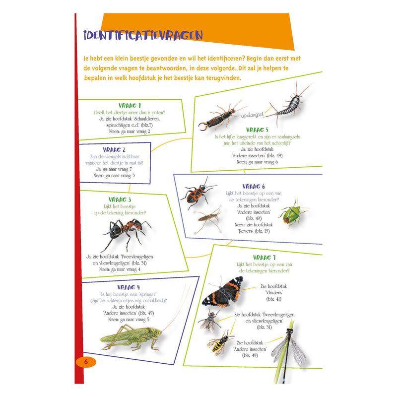 Load image into Gallery viewer, De leukste insectengids voor kids
