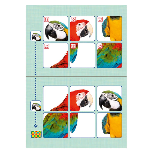 Wpg uitgevers zwijsen loco bambino starterspakket