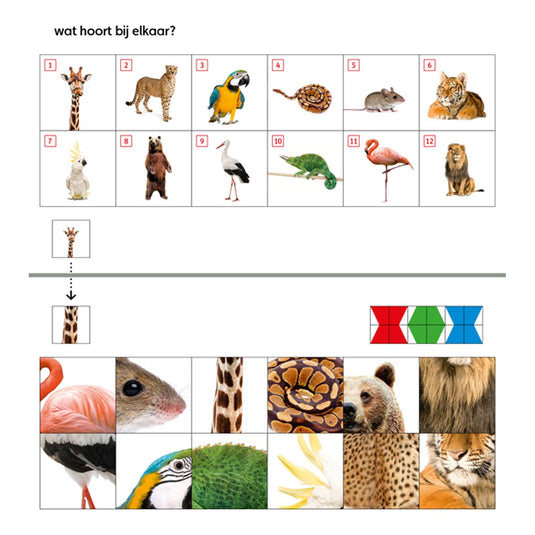 Wpg uitgevers mini loco starterspakket (4-6 jaar)