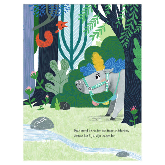 Centraal boekhuis ridder zonder billen - kinderboek