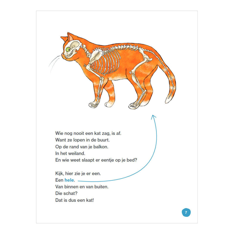 Load image into Gallery viewer, Wpg uitgevers dat is een kat - avi e3
