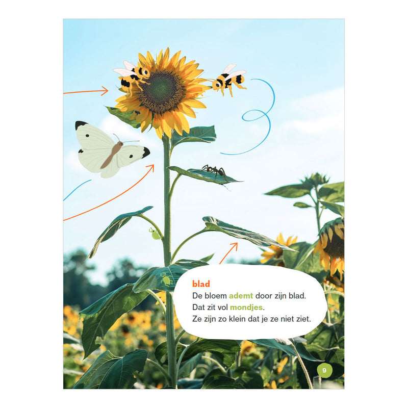 Load image into Gallery viewer, Wpg uitgevers blij met bloemen! - avi e3
