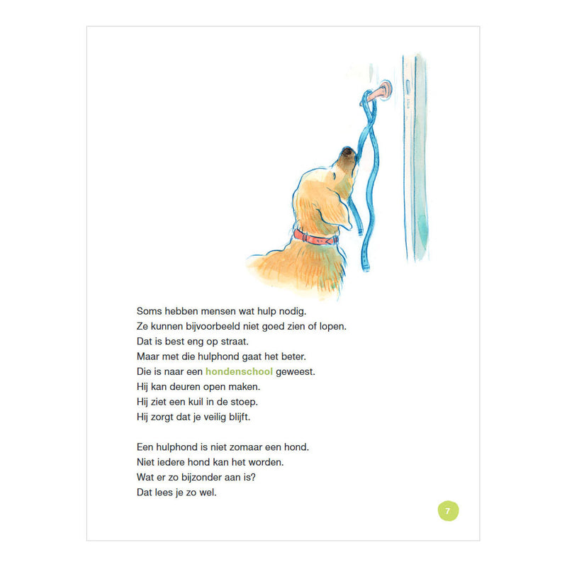 Load image into Gallery viewer, Wpg uitgevers hoera voor de hulphond - avi m4
