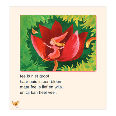 Het boek van de fee