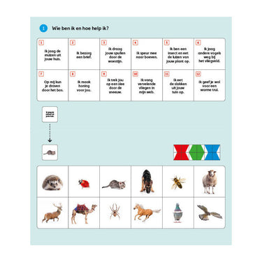 Wpg uitgevers loco mini pakket code d groep 4 - 8 titels