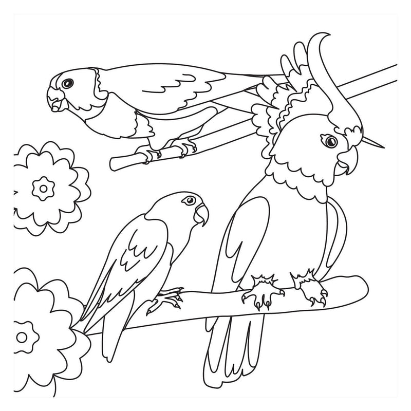 Load image into Gallery viewer, Kleurboek - birds nieuw
