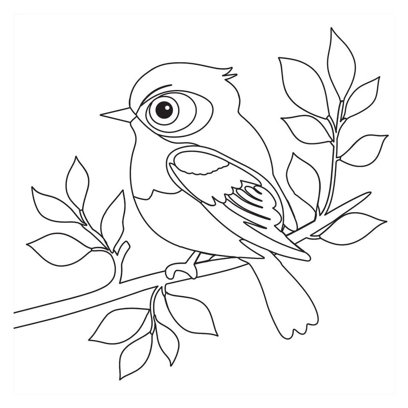 Load image into Gallery viewer, Kleurboek - birds nieuw
