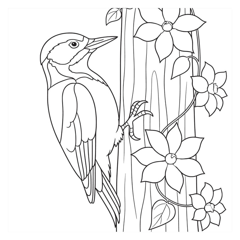 Load image into Gallery viewer, Kleurboek - birds nieuw
