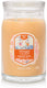 Yankee candle - slopeside spritz large jar geurkaars - 90 branduren - twee lonten