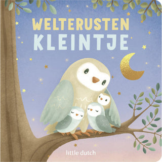 Load image into Gallery viewer, Boek little dutch weltrusten kleintje
