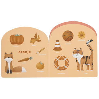 Boek little dutch regenboog kleurenboek karton