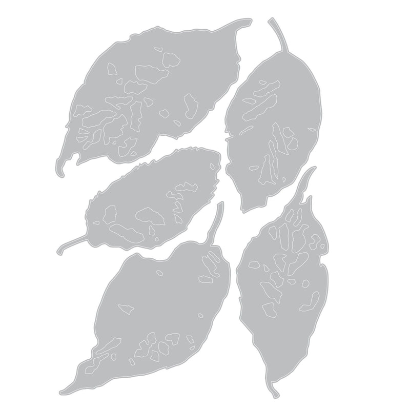 Load image into Gallery viewer, Sizzix • die set 5pcs leaf fragments by tim holtz
