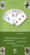 Bbs bridge bond specials 31 - 2-over-1 voor iedereen