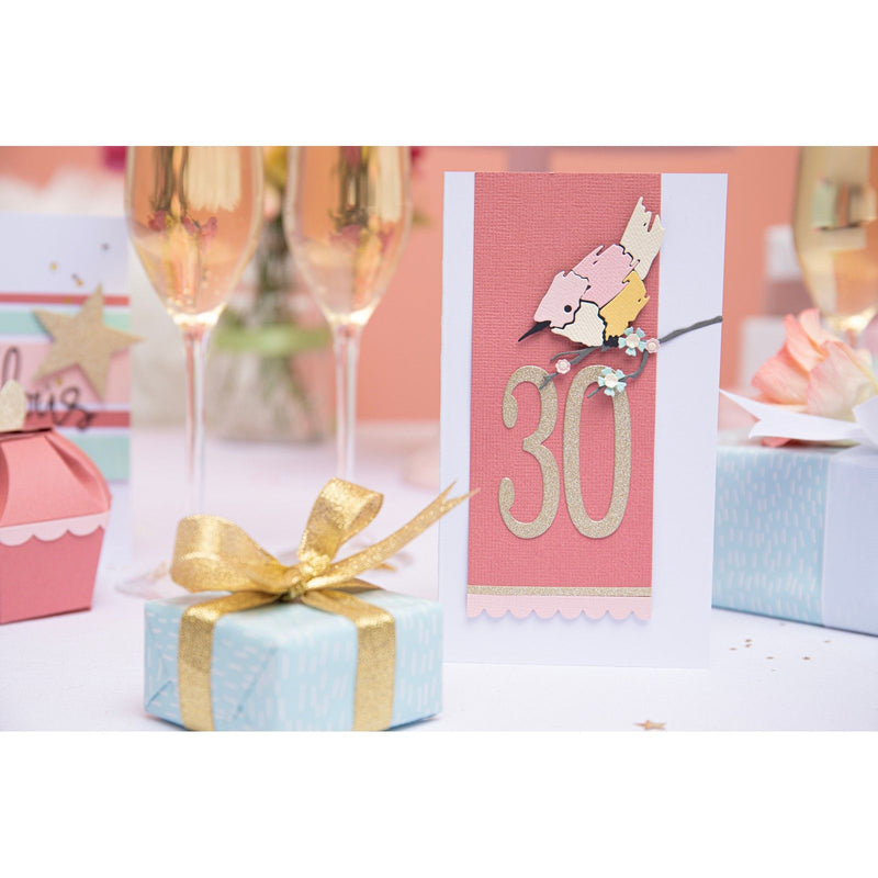 Load image into Gallery viewer, Sizzix • thinlits die set fabulous frames borders by debi potter
