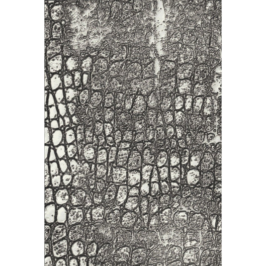 Sizzix • tim holtz 3d texture fades embossing folder reptile