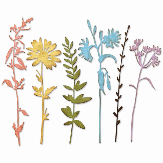 Sizzix • tim holtz thinlits die set vault wildflowers