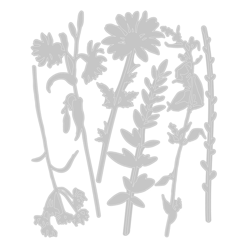 Load image into Gallery viewer, Sizzix • tim holtz thinlits die set vault wildflowers
