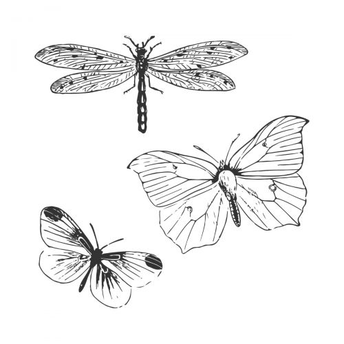 Load image into Gallery viewer, Sizzix • framelits die set with stamp engraved wings
