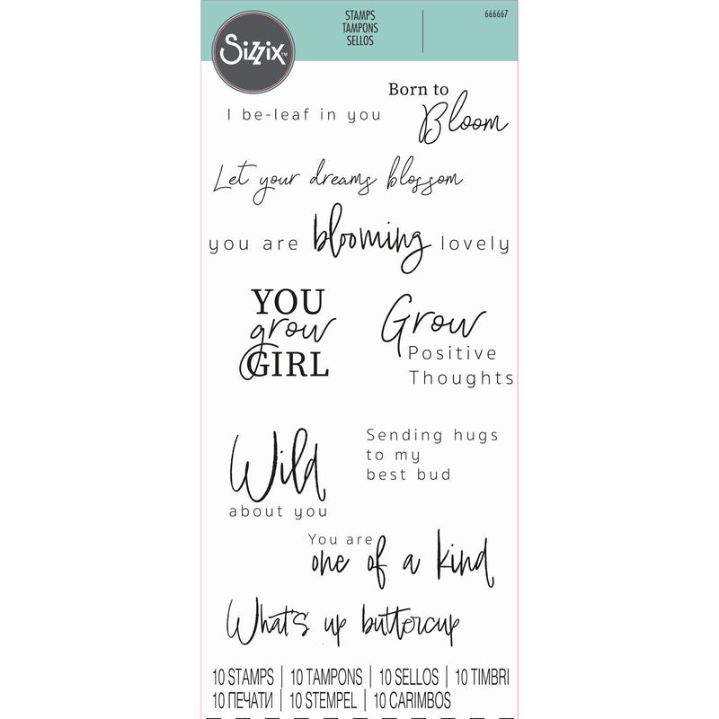 Load image into Gallery viewer, Sizzix • clear stamp set born to bloom 10pcs
