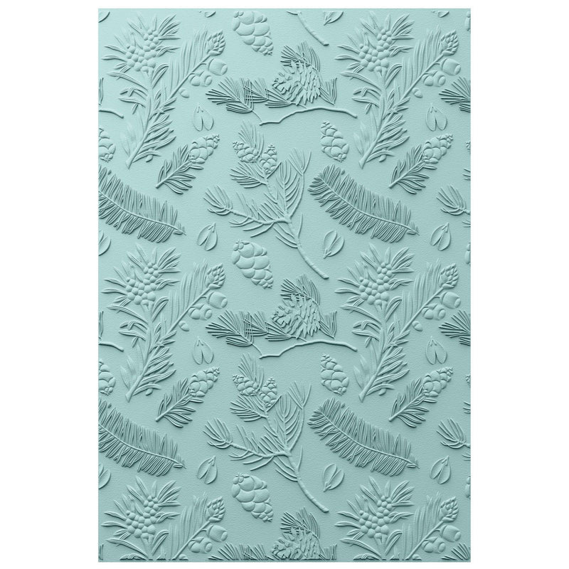 Load image into Gallery viewer, Sizzix • 3d textured impressions embossing folder a5 pines
