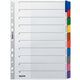 Tabbladen leitz 43210000 grijs, 1 set