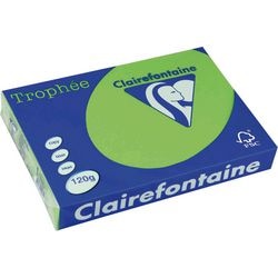 Gekleurd papier clairefontaine a4 120 g m² muntgroen 250 vel