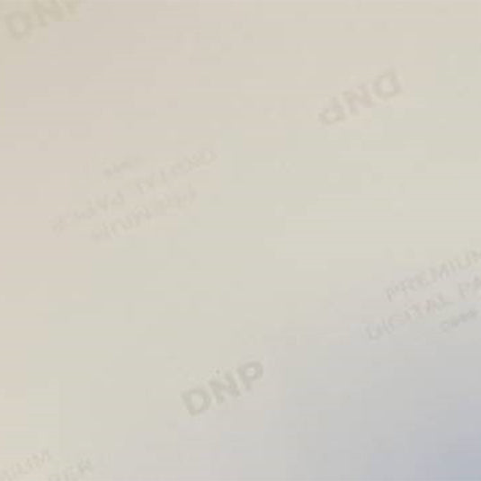 DNP Standaard Papier DSRX1HS-4X6 2 Rol � 700 St. 10x15 voor DS-RX1HS