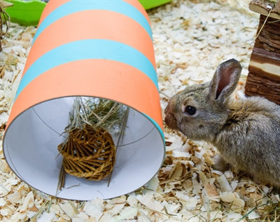 Load image into Gallery viewer, Happy pet wilgen value pack 2 sticks 2 ballen
