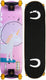 Nijdam rookie skateboard - beginners skateboard - candyskateme