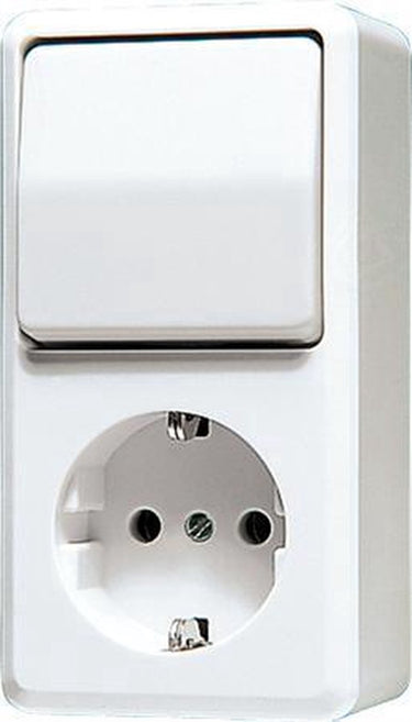Jung ap600 combinatieschakelaar stopcontact ra alpin wit - 676aww - e3dn2