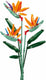 Sluban flowers strelitzia paradijsvogelbloem bouwspeelgoed – constructiespeelgoed bloemen modelbouw – bouwdoos met 269 bouwstenen – m38-b1121c – vanaf 10 jaar