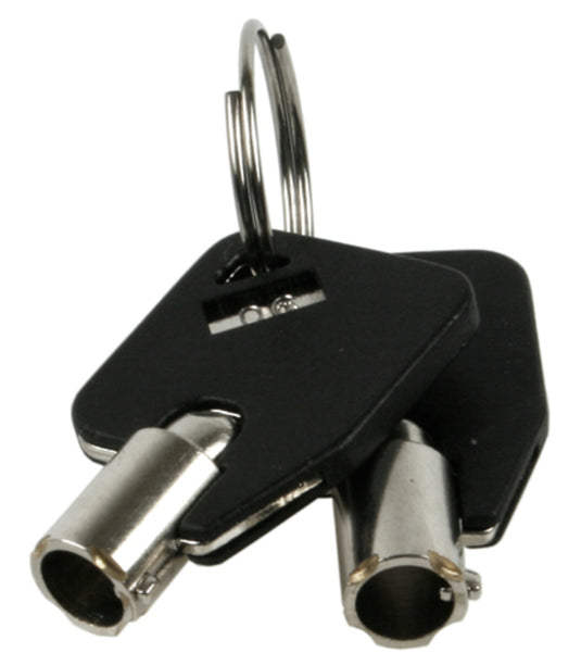 Thule vervangingssleutel Yepp Key 08