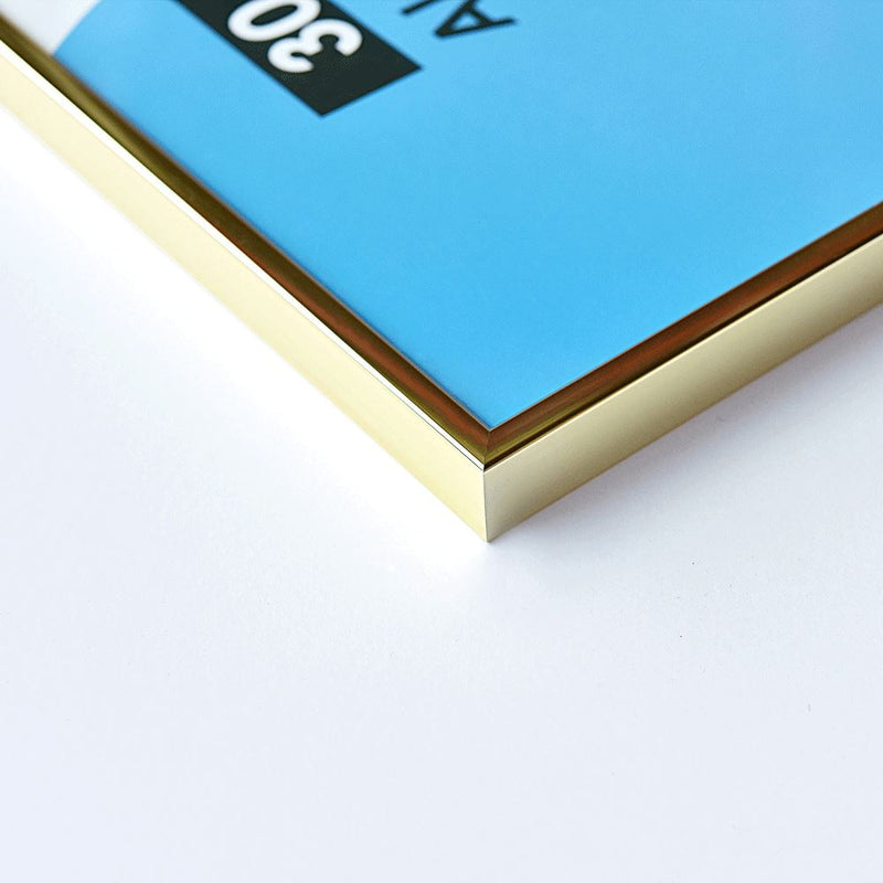 Load image into Gallery viewer, Nielsen design nielsen fotolijst 52421 accent goud 30x40 cm
