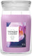 Yankee candle - wild orchid large jar geurkaars - 90 branduren - twee lonten