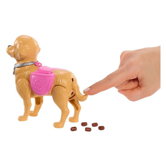 Barbie malibu wandelpuppy speelgoedset - pop en hond die kan poepen en accessoires