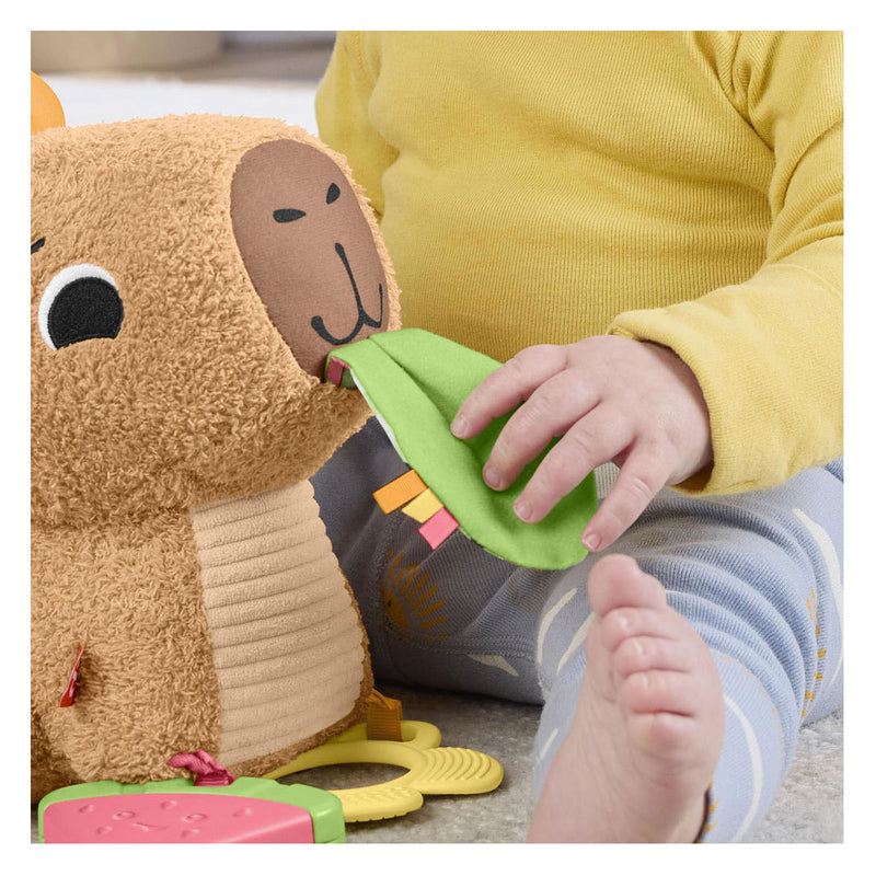 Afbeelding laden in galerijviewer, Fisher-price snackende capibara knuffel - zintuiglijk speelgoed met bijtring en rammelaar
