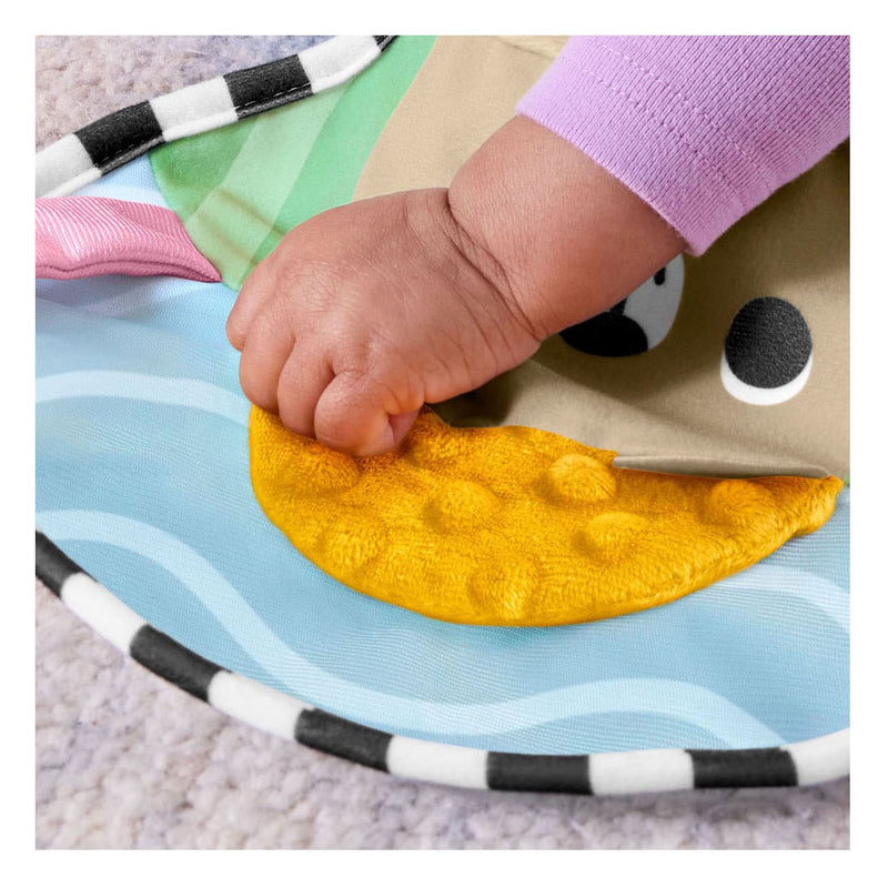 Load image into Gallery viewer, Fisher-price zintuiglijke avonturen buikligtrainer - voor pasgeborenen met bijtring en rammelaar
