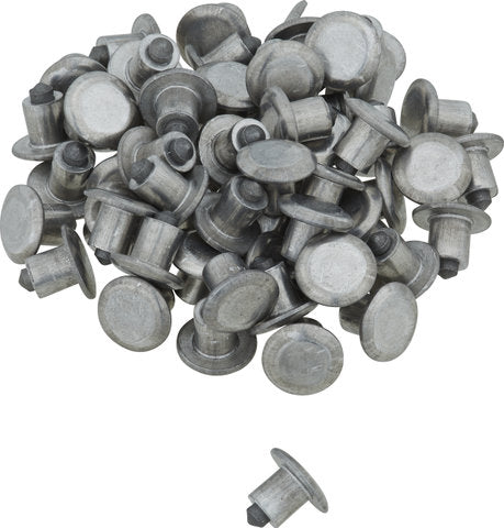 Schwalbe replacement spikes