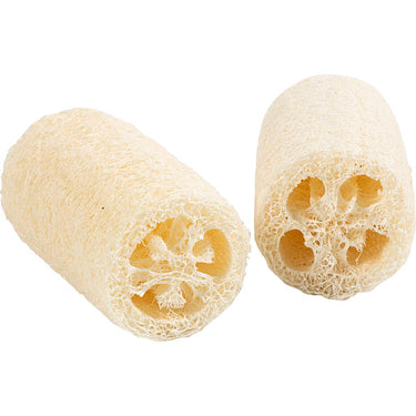 Tmf tormino fulfilment https: www.cchobby.nl natuurlijke-loofah-spons-l-10-cm-d-5-5-8-cm-licht-naturel-2-stuk-1-doos
