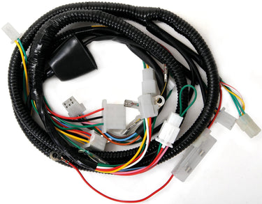101 octane kabelbaum harness electr. kpl. chinaroller rex, qinqgi