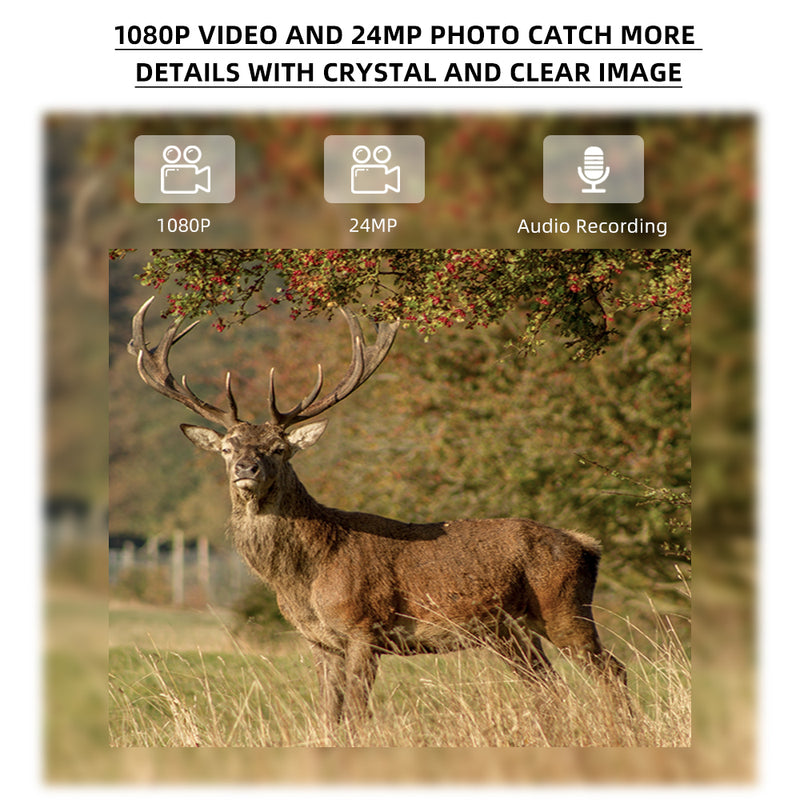 Load image into Gallery viewer, Stealth gear hedgehog 1080p 4g wildcamera
