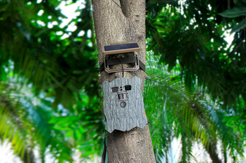 Load image into Gallery viewer, Stealth gear owl solar 4k wifi wildcamera
